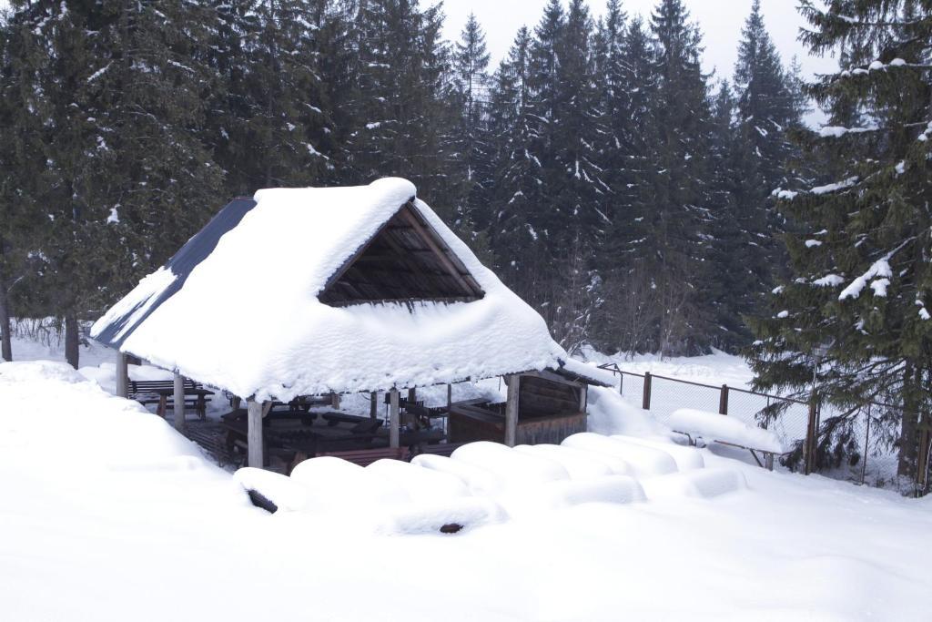 Siwarna Natura Tour Hotel Zakopane Exterior foto